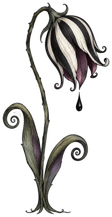 Weeping Striped Tulip